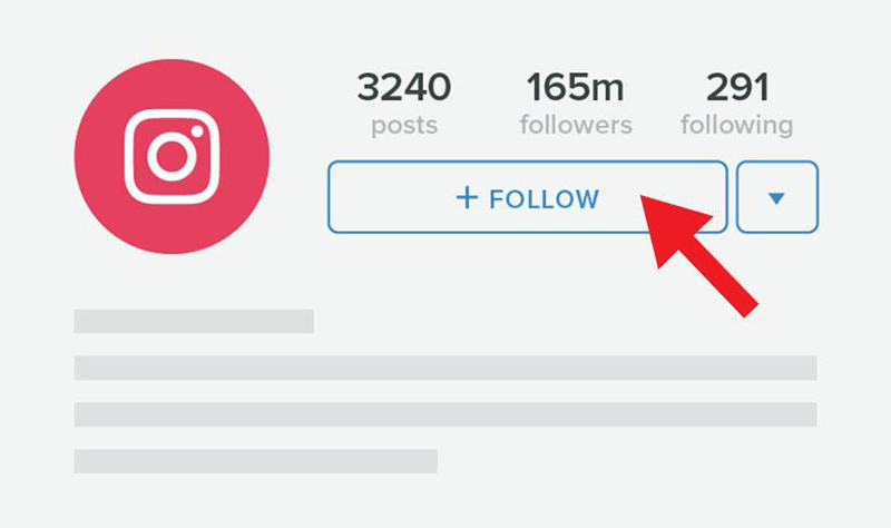 What Does Instagram Followers Do?